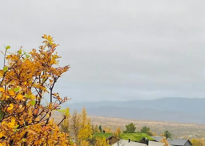 Modern Near Auersvatn And Trails